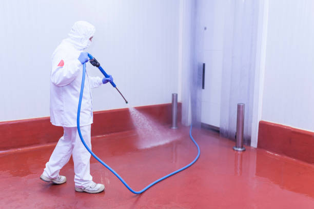 Boat and Dock Cleaning in Bokeelia, FL